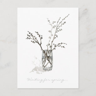 Carte Postale En attendant le printemps – Branches bourgeonnante