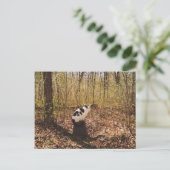 Carte Postale en attente... (Debout devant)