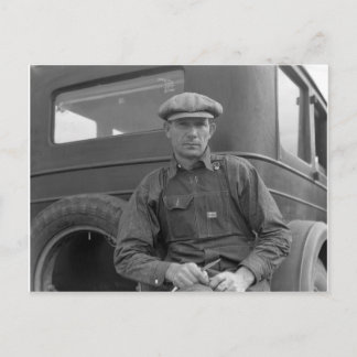 Carte Postale En attente de cueillette d'oranges