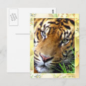 Carte Postale En attente de vous/Missing you_ (Devant / Derrière)