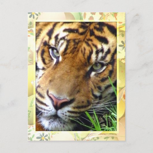 Carte Postale En attente de vous/Missing you_ (Devant)