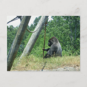 Carte Postale "En attente et en attente"