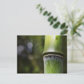 Carte postale en bambou (couleur) (Debout devant)