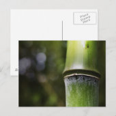 Carte postale en bambou (couleur) (Devant / Derrière)