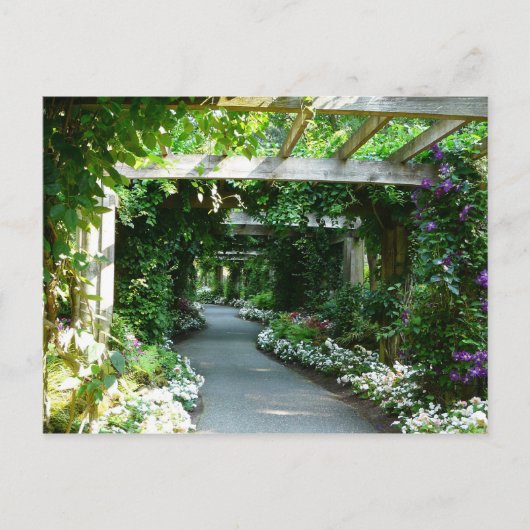 Carte Postale En bas du chemin du jardin (Devant)