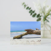 Carte postale en bois (Debout devant)