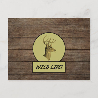 Carte postale en bois sombre de Buck Head