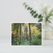 Carte Postale En chemin (Debout devant)