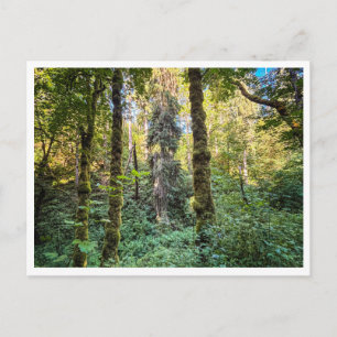 Carte Postale En chemin