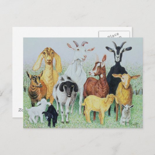 Carte Postale En Clover (Devant / Derrière)