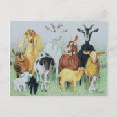 Carte Postale En Clover (Devant)