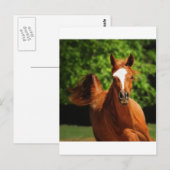 Carte Postale En cours (Devant / Derrière)