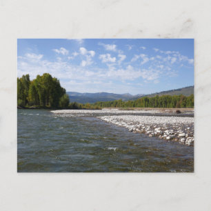Carte Postale En descendant la rivière Snake I