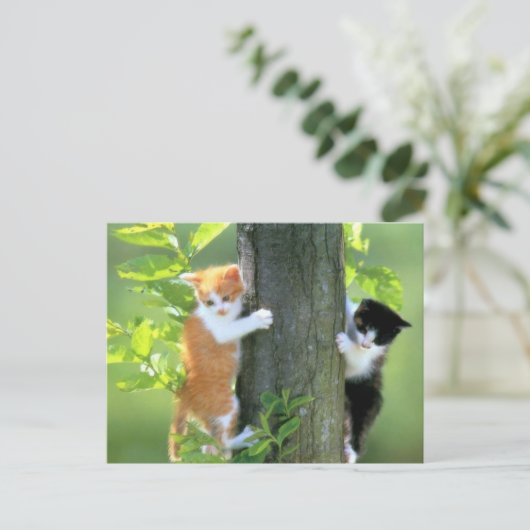 Carte Postale En difficulté maintenant (Debout devant)