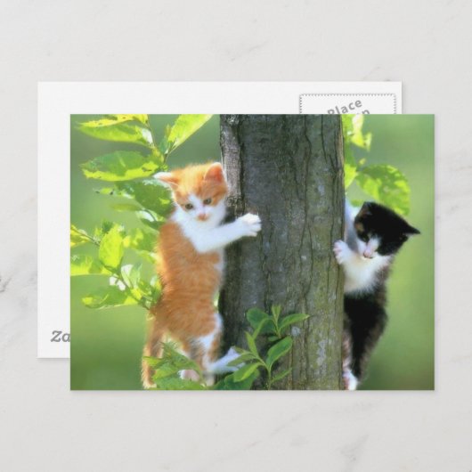 Carte Postale En difficulté maintenant (Devant / Derrière)