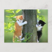 Carte Postale En difficulté maintenant (Devant)