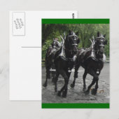 Carte Postale En étape — Ébauche de chevaux (Devant / Derrière)