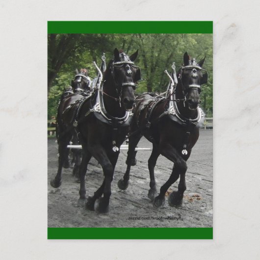 Carte Postale En étape — Ébauche de chevaux (Devant)