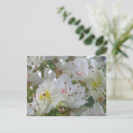 Carte postale en fleur de châtaignes (Debout devant)