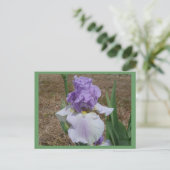 Carte postale en iris bleu. (Debout devant)