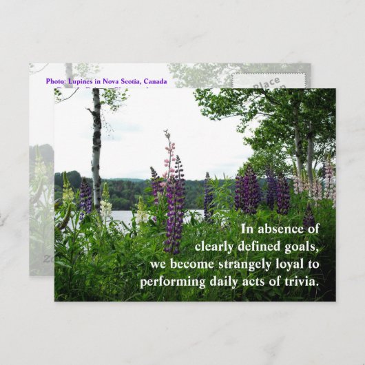 Carte Postale En l'absence d'objectifs clairement définis, w... (Devant / Derrière)