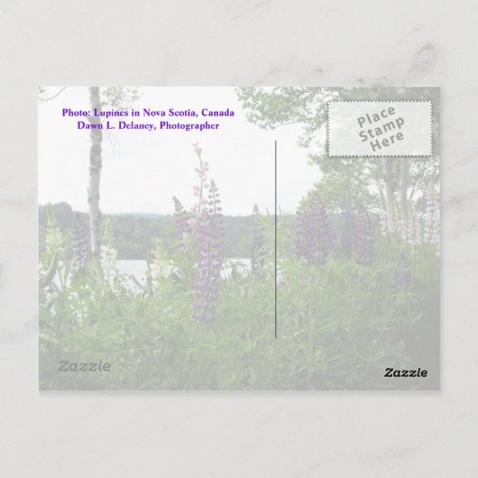 Carte Postale En l'absence d'objectifs clairement définis, w... (Dos)