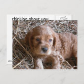 Carte Postale En pensant à toi... (Devant / Derrière)
