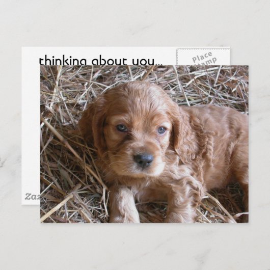 Carte Postale En pensant à toi... (Devant / Derrière)