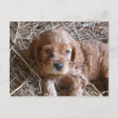 Carte Postale En pensant à toi... (Devant)