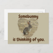 Carte Postale En pensant à toi Mignon Lapin Rêve de ton Amitié (Devant / Derrière)