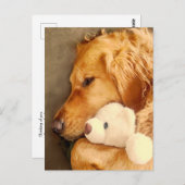 Carte Postale En pensant à vous joli chien triste Retriever doré (Devant / Derrière)