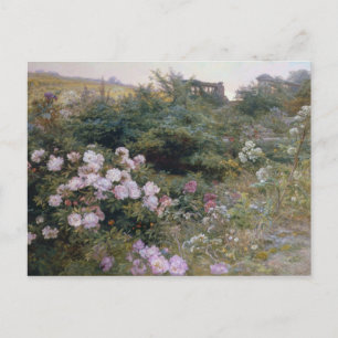 Carte Postale En pleine floraison