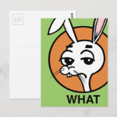CARTE POSTALE EN RABBIT STYLE CARTOON FUNNY (Devant / Derrière)
