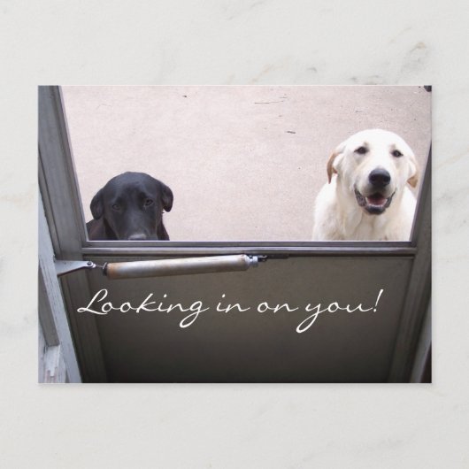 Carte Postale En regardant vers toi ! (Devant)