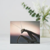 Carte Postale En Silhouette (Debout devant)