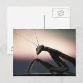 Carte Postale En Silhouette (Devant / Derrière)