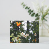 Carte Postale En souvenir (Debout devant)