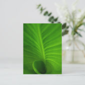 Carte postale en spirale verte de feuille (Debout devant)