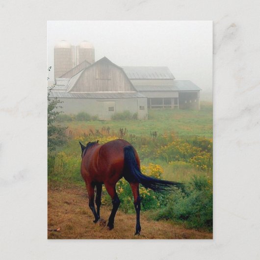 Carte Postale En-tête de la page d'accueil (Devant)