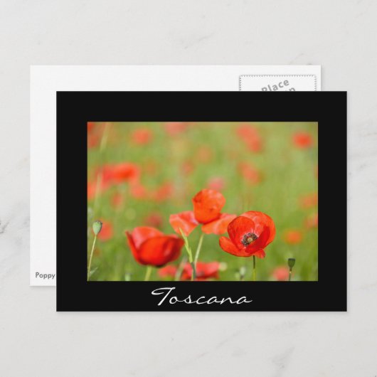 Carte postale en Toscane en texte noir (Devant / Derrière)