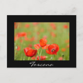 Carte postale en Toscane en texte noir (Devant)