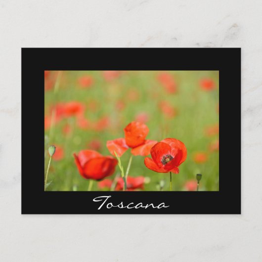 Carte postale en Toscane en texte noir (Devant)