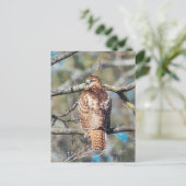 Carte postale en verre à queue rouge (Debout devant)