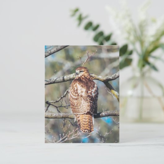 Carte postale en verre à queue rouge (Debout devant)