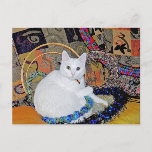 Carte postale encerclée Serenity (Devant)