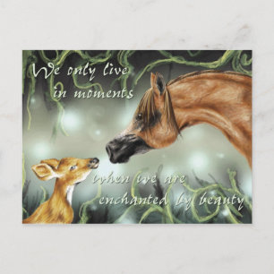 Carte Postale Enchanté par la beauté