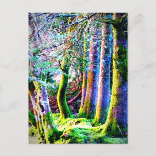 Carte postale Enchanted Forest Abstrait Art (Devant)