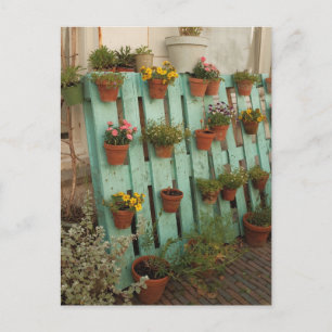 Carte Postale Enchanter Pots Fleurs Jardin Rustique Cottagecore