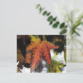 Carte Postale Encino Californie (Debout devant)