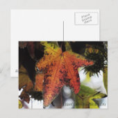 Carte Postale Encino Californie (Devant / Derrière)